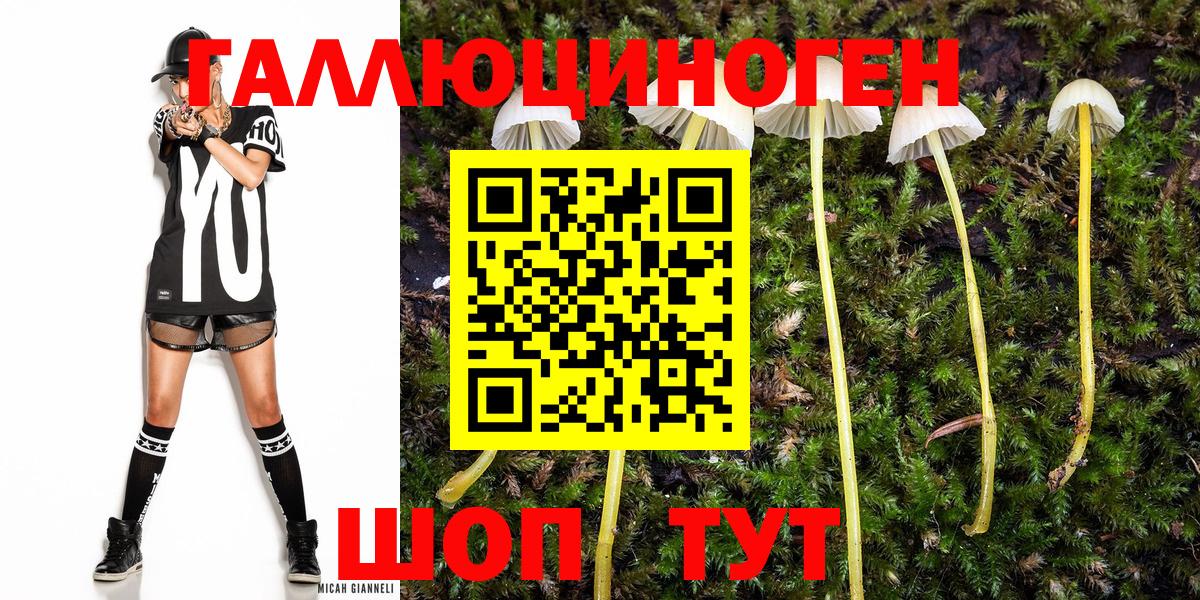 Галлюциногенные грибы мицелий Кызыл
